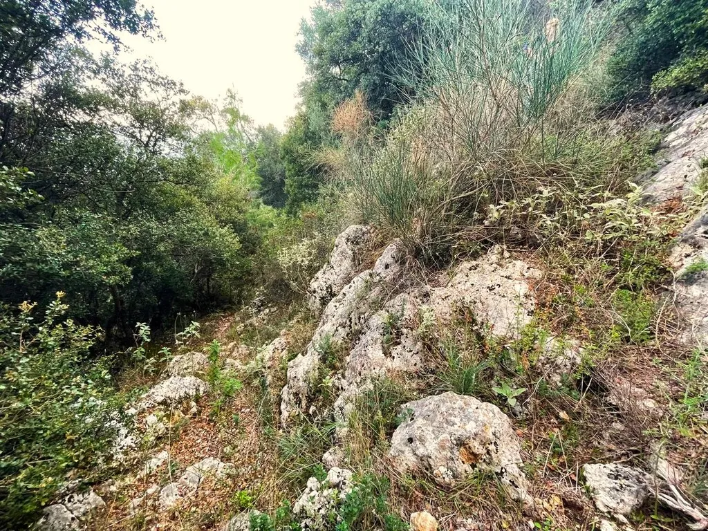 γη προς πώληση 1376 τ.μ Κέρκυρα Νομός Κέρκυρας