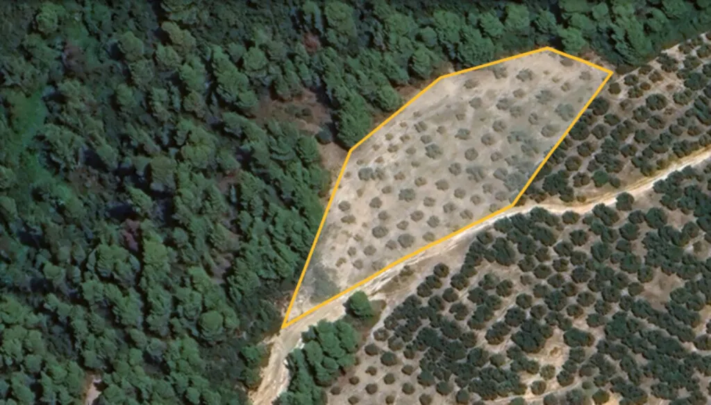 γη προς πώληση 5975 τ.μ Σιθωνία Χαλκιδική