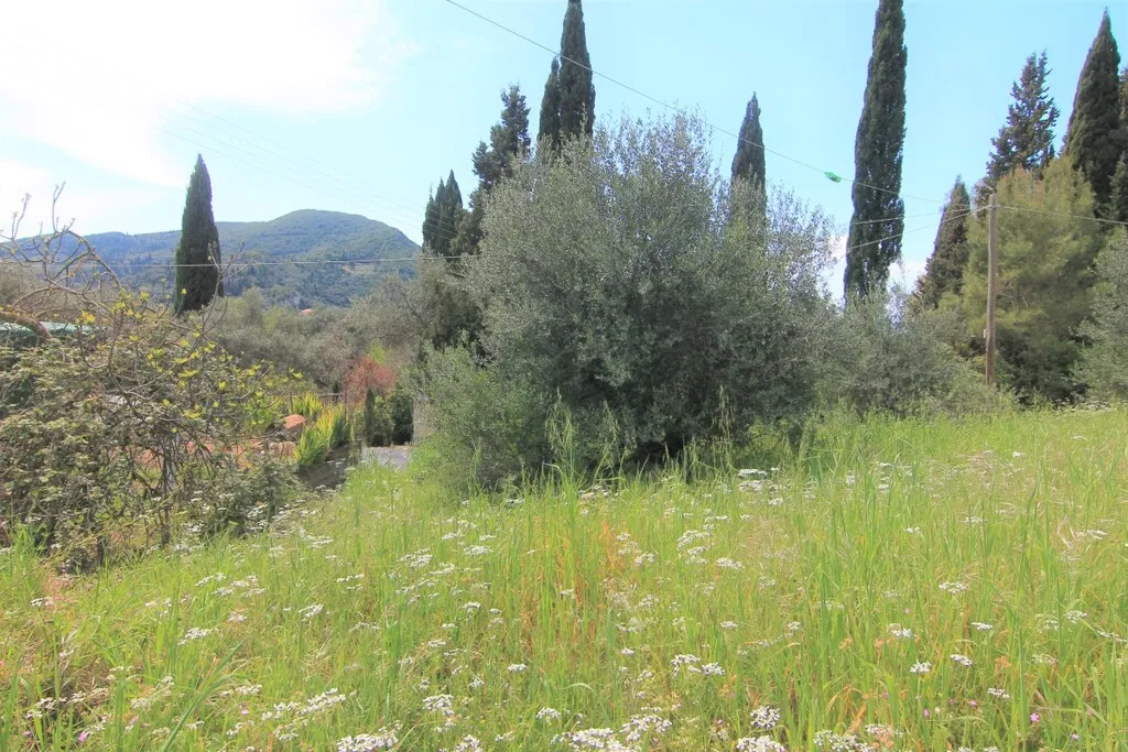 γη προς πώληση 1206 τ.μ Κέρκυρα Νομός Κέρκυρας