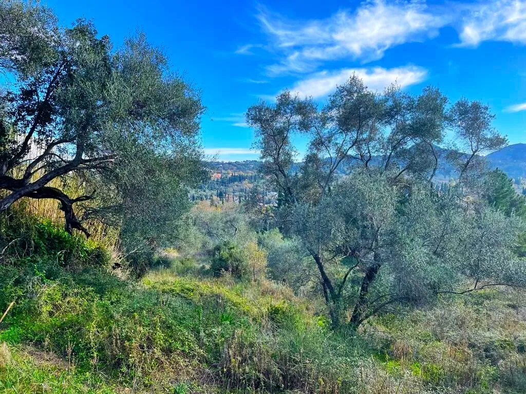 γη προς πώληση 8781 τ.μ Κέρκυρα Νομός Κέρκυρας