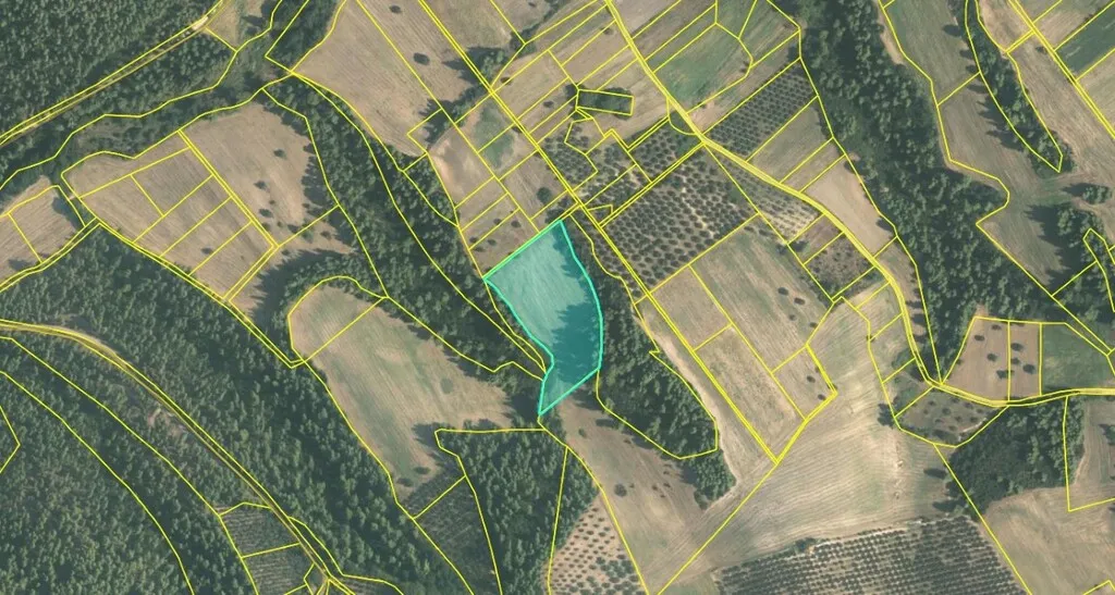 γη προς πώληση 15250 τ.μ Κασσάνδρα Χαλκιδική