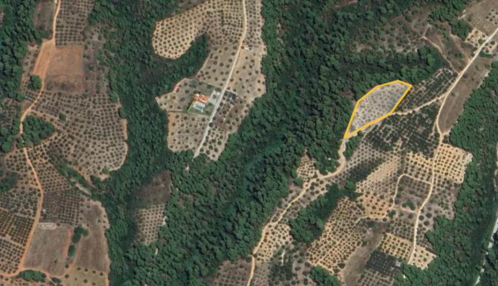 γη προς πώληση 5975 τ.μ Σιθωνία Χαλκιδική
