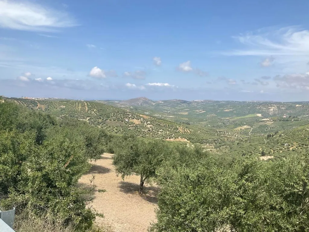 γη προς πώληση 4050 τ.μ Αρχάνες Νομός Ηρακλείου