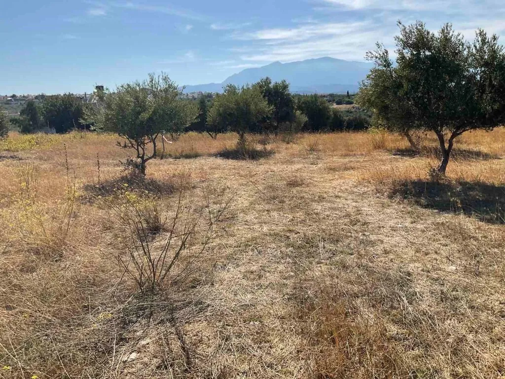 γη προς πώληση 2300 τ.μ Αρχάνες Νομός Ηρακλείου