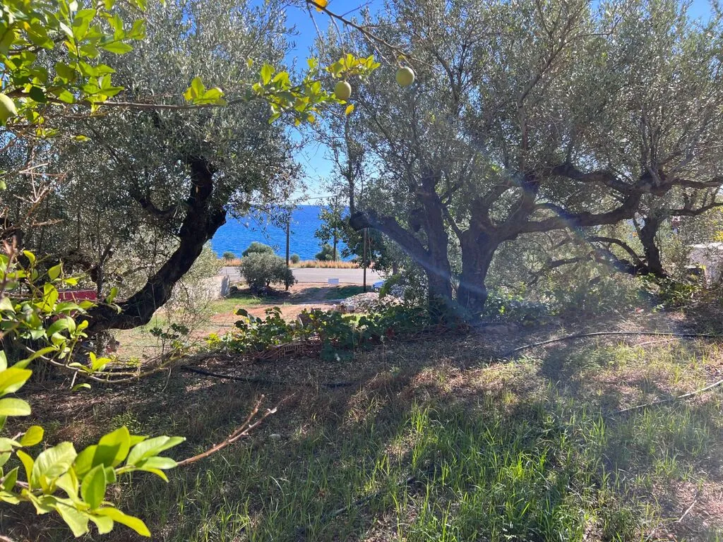 γη προς πώληση 1700 τ.μ Μακρύς Γιαλός Νομός Λασιθίου