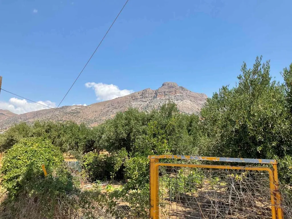 γη προς πώληση 5600 τ.μ Βιάννος Νομός Ηρακλείου