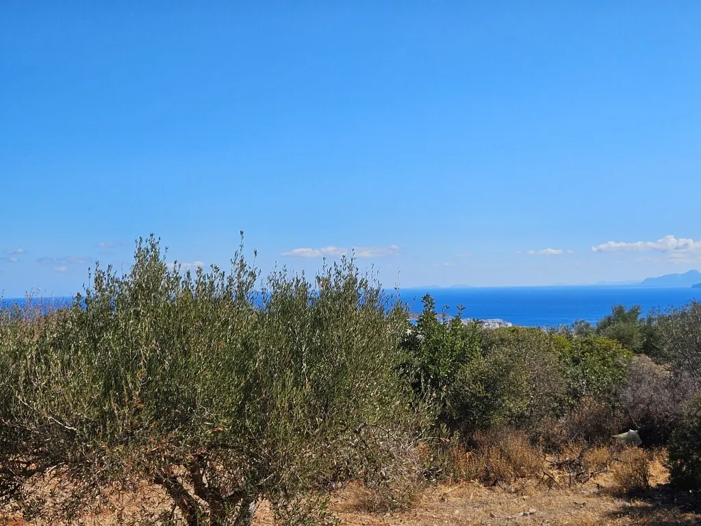 γη προς πώληση 4033 τ.μ Άγιος Νικόλαος Νομός Λασιθίου