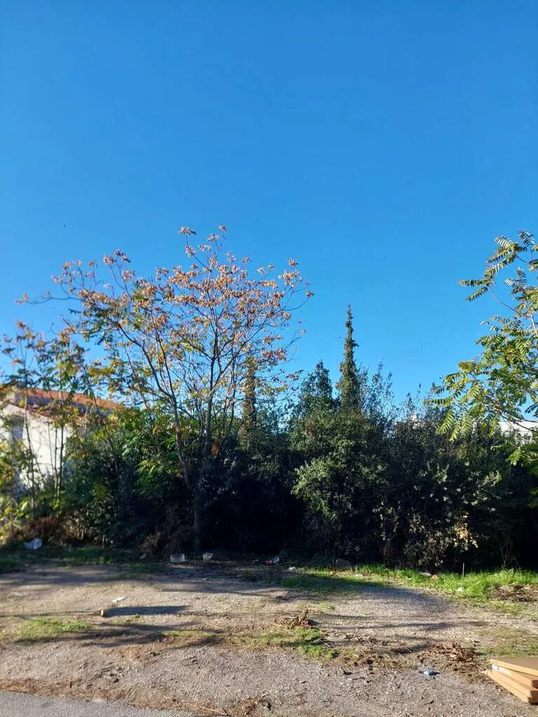 γη προς πώληση 1056 τ.μ Πανόραμα Προάστια Θεσσαλονίκης