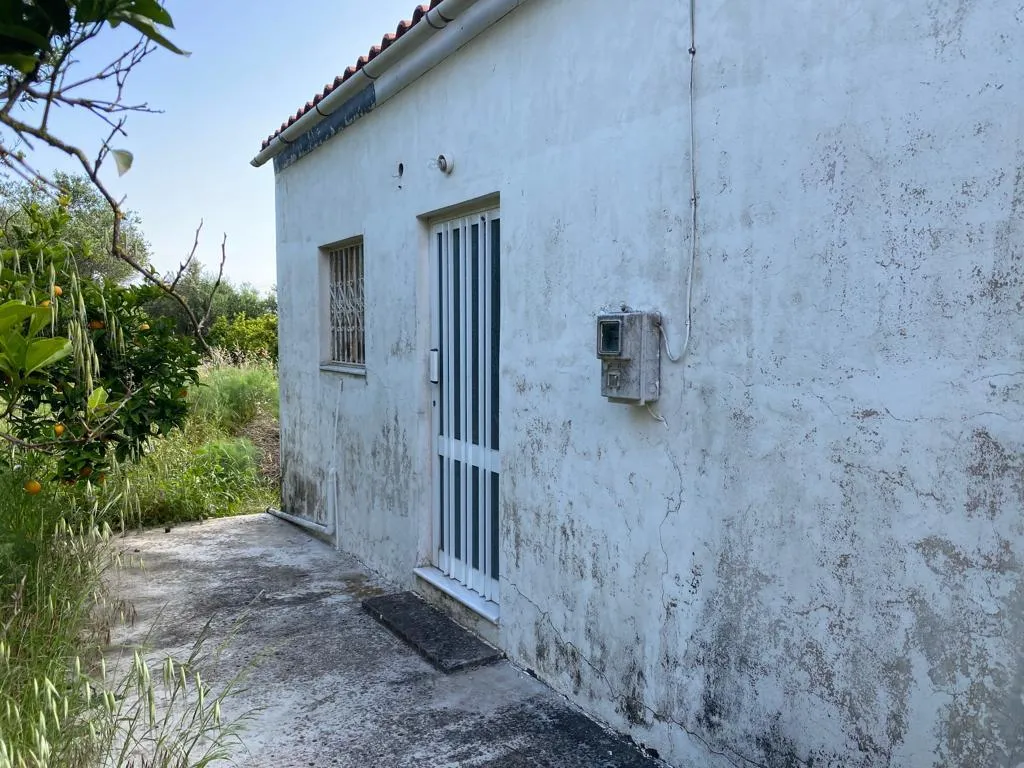 γη προς πώληση 2199 τ.μ Κολυμβάρι Νομός Χανίων