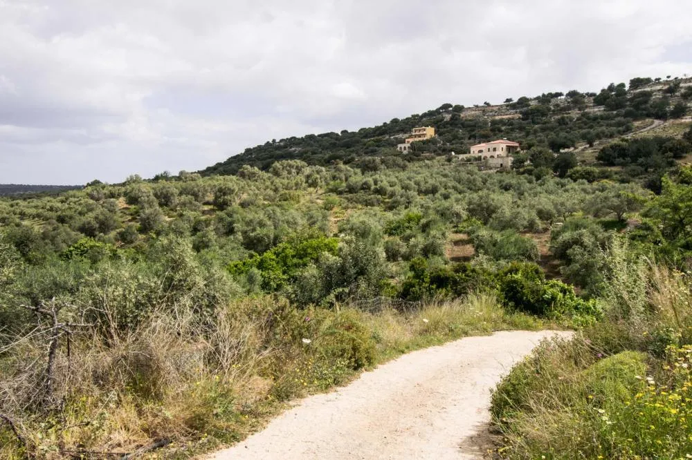 γη προς πώληση 6786 τ.μ Αρκάδι Νομός Ρεθύμνου