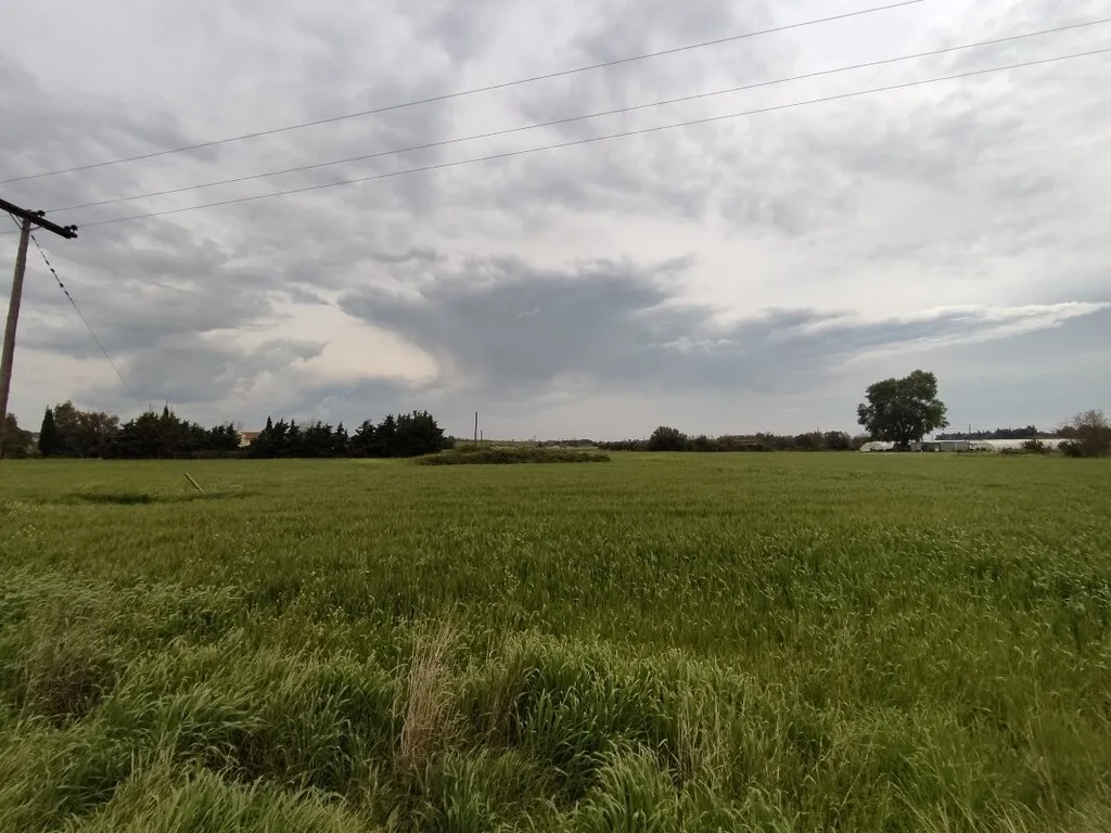 γη προς πώληση 11000 τ.μ Επανωμή Προάστια Θεσσαλονίκης