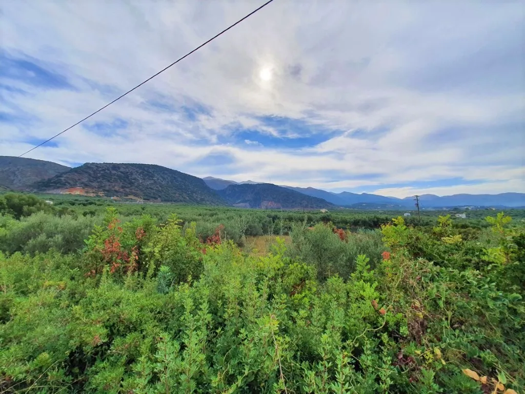 γη προς πώληση 2375 τ.μ Βραχάσι Νομός Λασιθίου