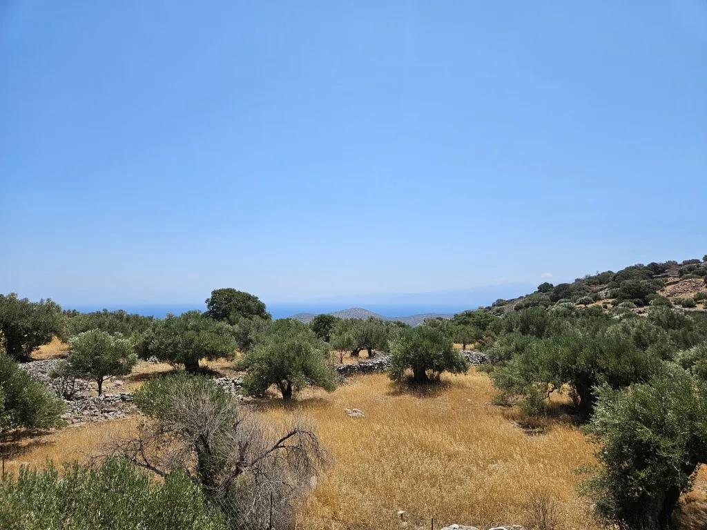 γη προς πώληση 2610 τ.μ Άγιος Νικόλαος Νομός Λασιθίου