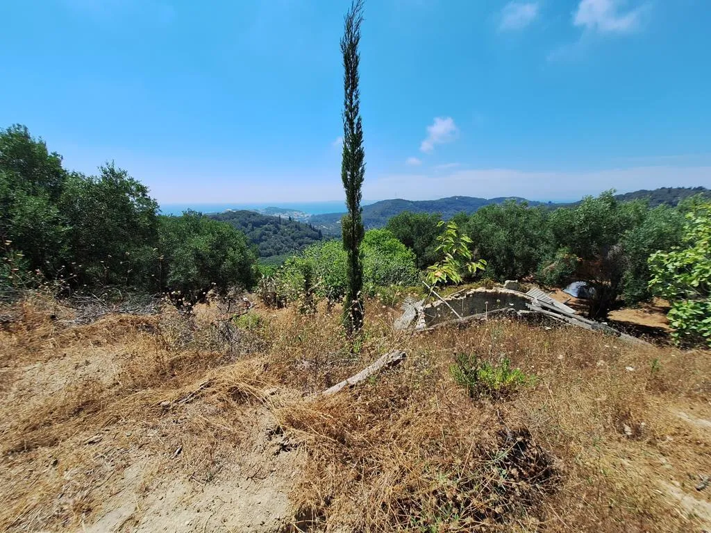 γη προς πώληση 3310 τ.μ Κέρκυρα Νομός Κέρκυρας