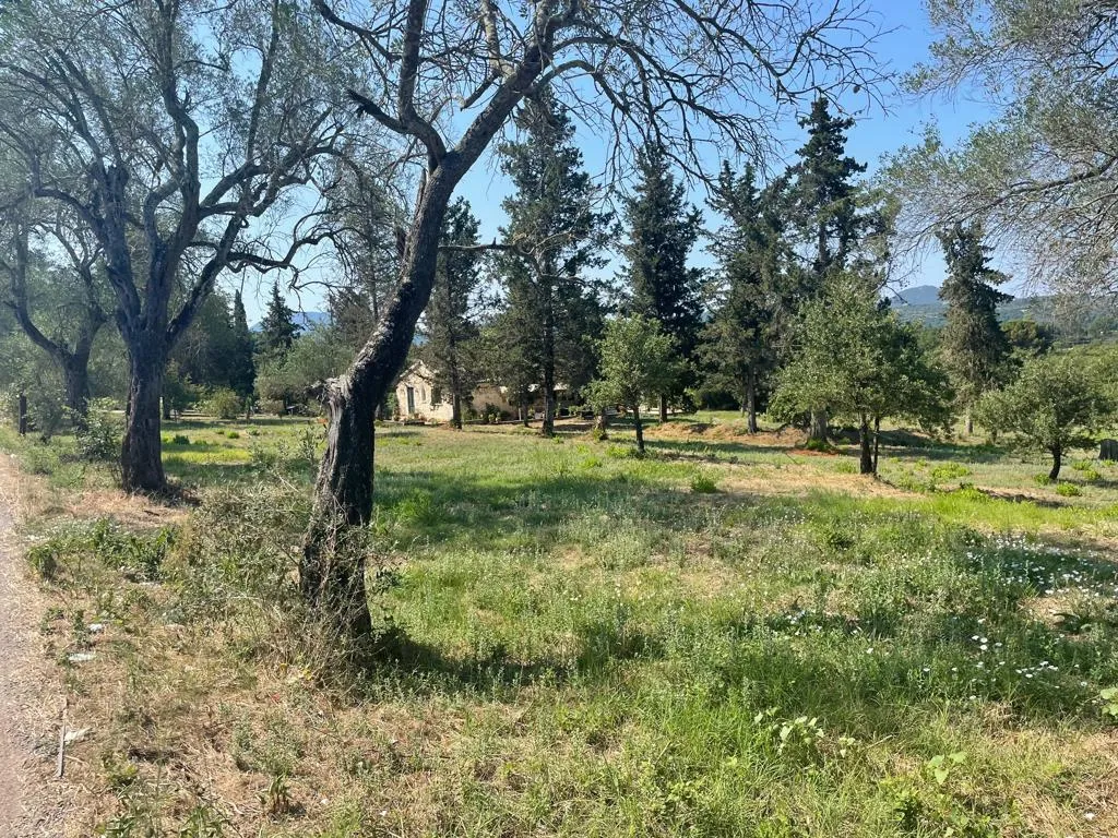 γη προς πώληση 4154 τ.μ Κέρκυρα Νομός Κέρκυρας