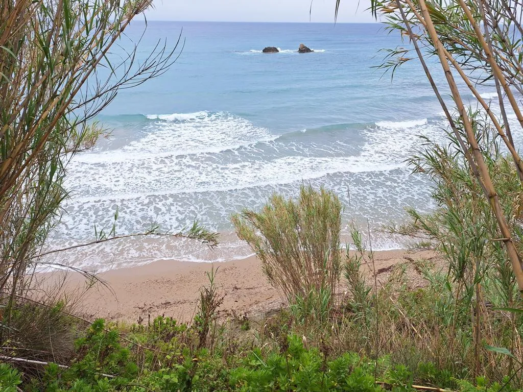 γη προς πώληση 4444 τ.μ Κέρκυρα Νομός Κέρκυρας