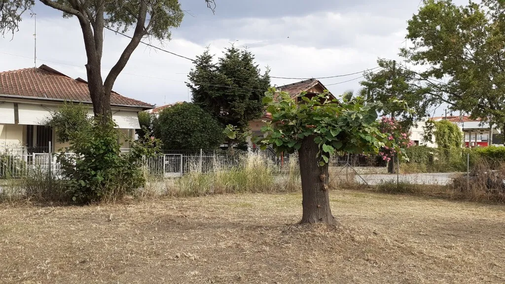 γη προς πώληση 388 τ.μ Κατερίνη Νομός Πιερίας