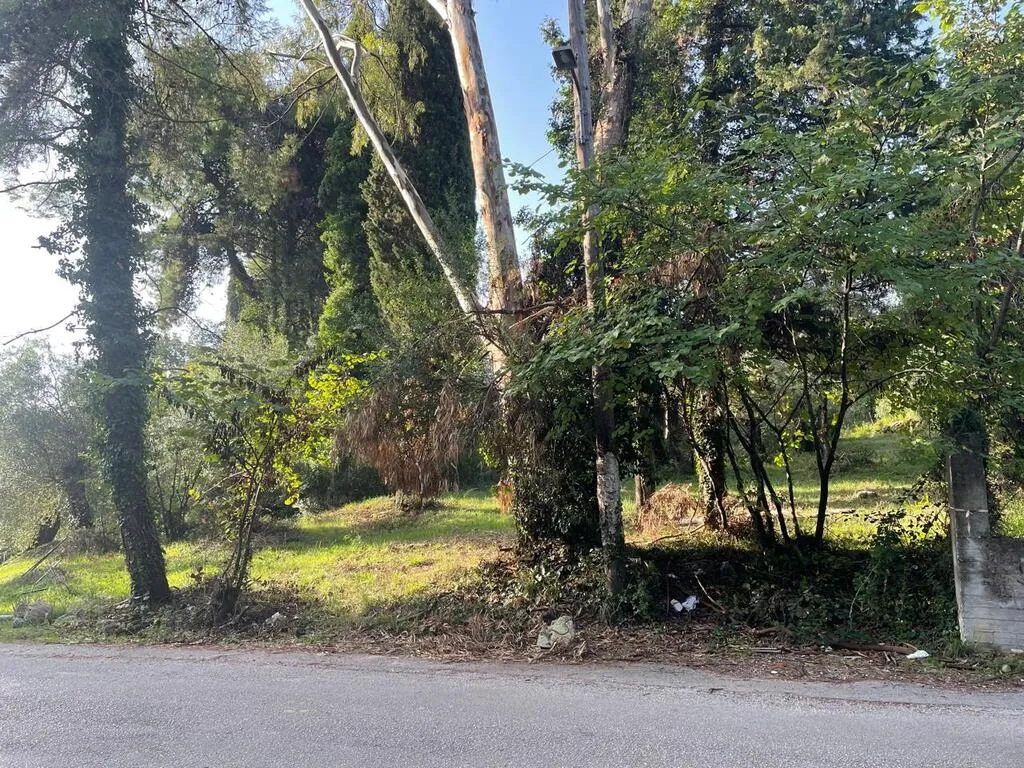 γη προς πώληση 3321 τ.μ Κέρκυρα Νομός Κέρκυρας