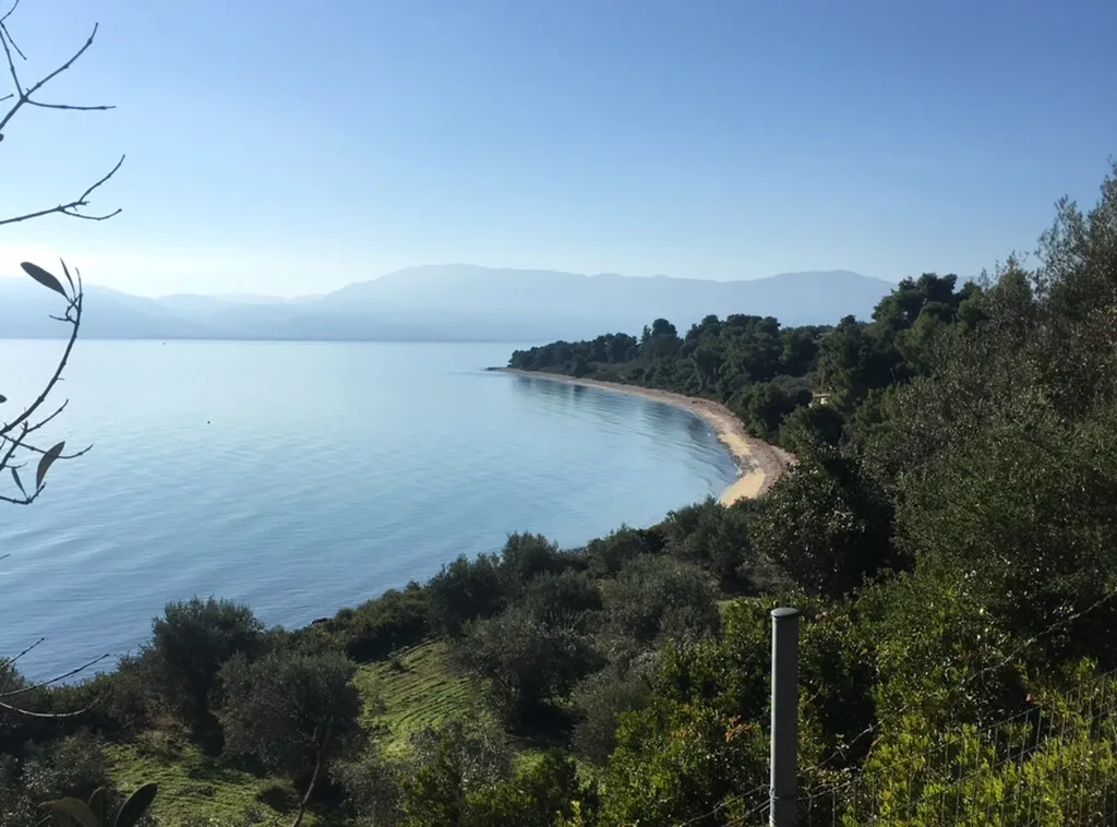 γη προς πώληση 2000 τ.μ Αιδηψός Εύβοια