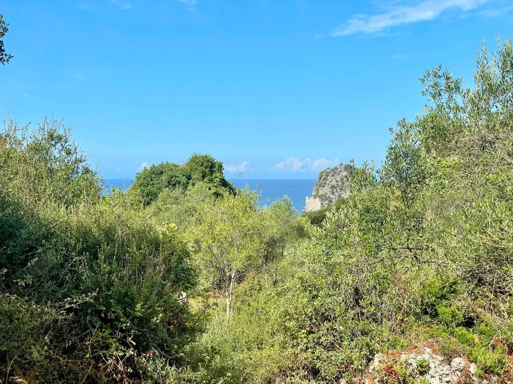 γη προς πώληση 4162 τ.μ Κέρκυρα Νομός Κέρκυρας