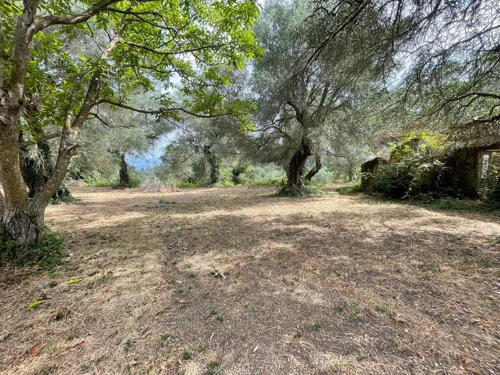 γη προς πώληση 5020 τ.μ Κέρκυρα Νομός Κέρκυρας