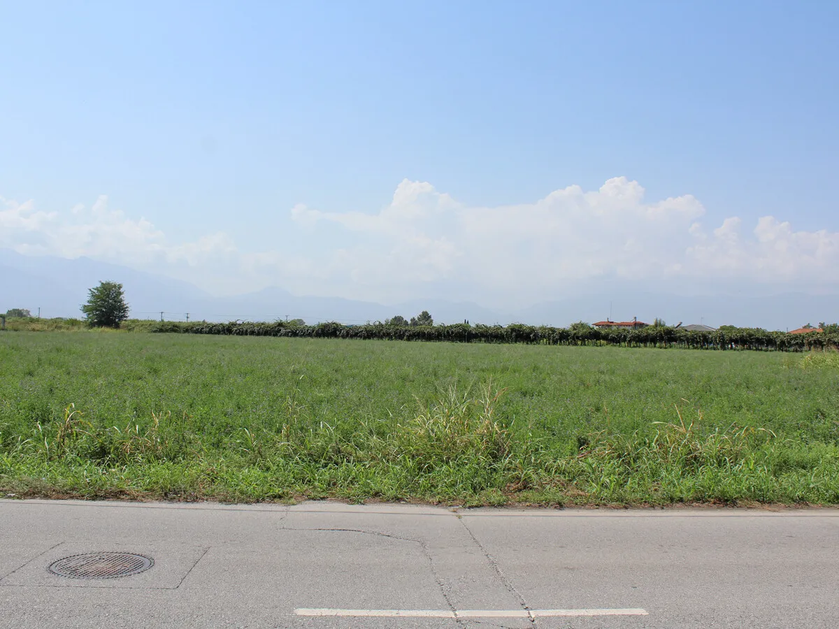 γη προς πώληση 7642 τ.μ Κατερίνη Νομός Πιερίας