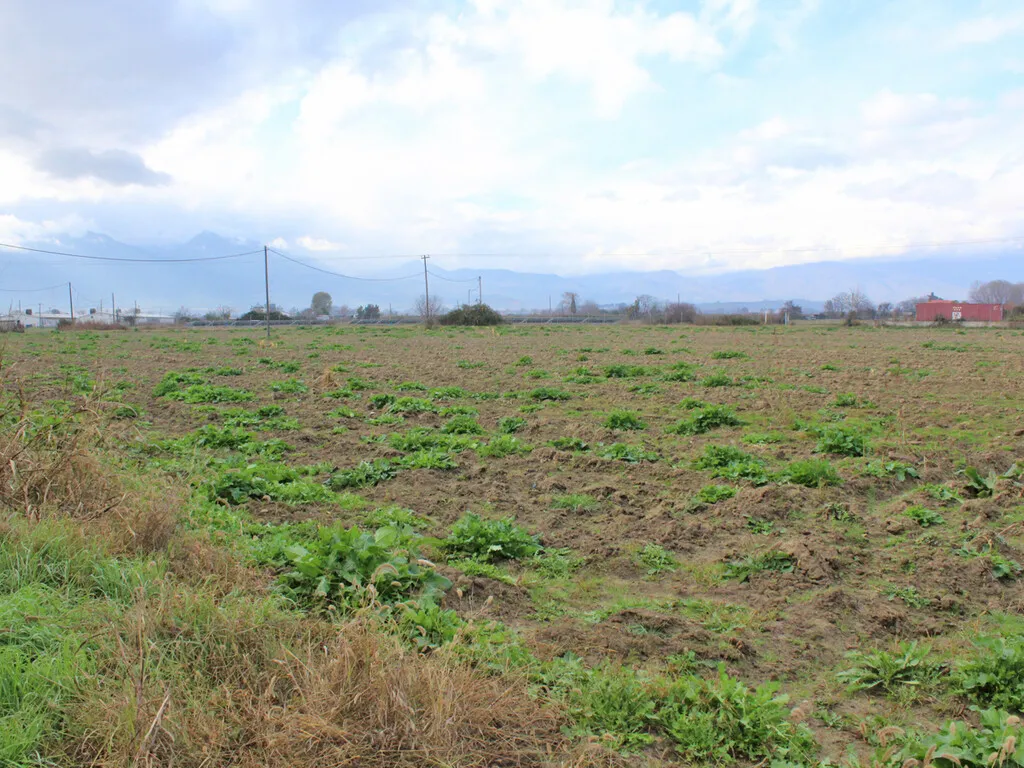 γη προς πώληση 48714 τ.μ Κατερίνη Νομός Πιερίας