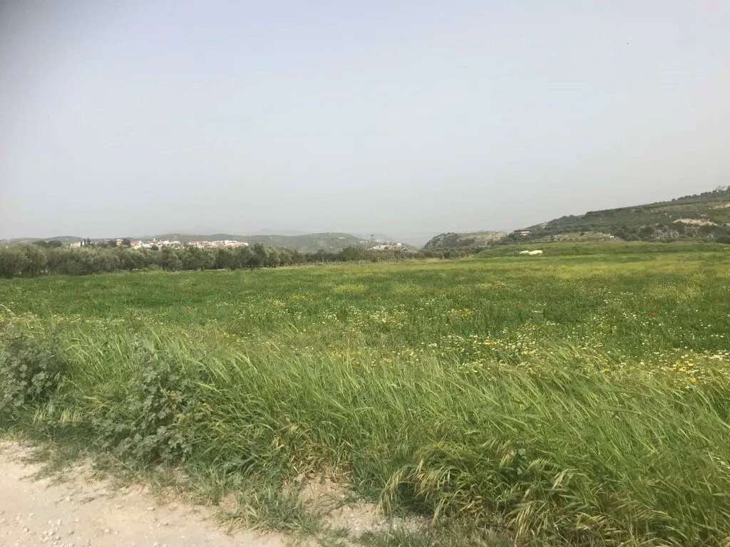 γη προς πώληση 1800 τ.μ Τετράχωροι Νομός Ηρακλείου