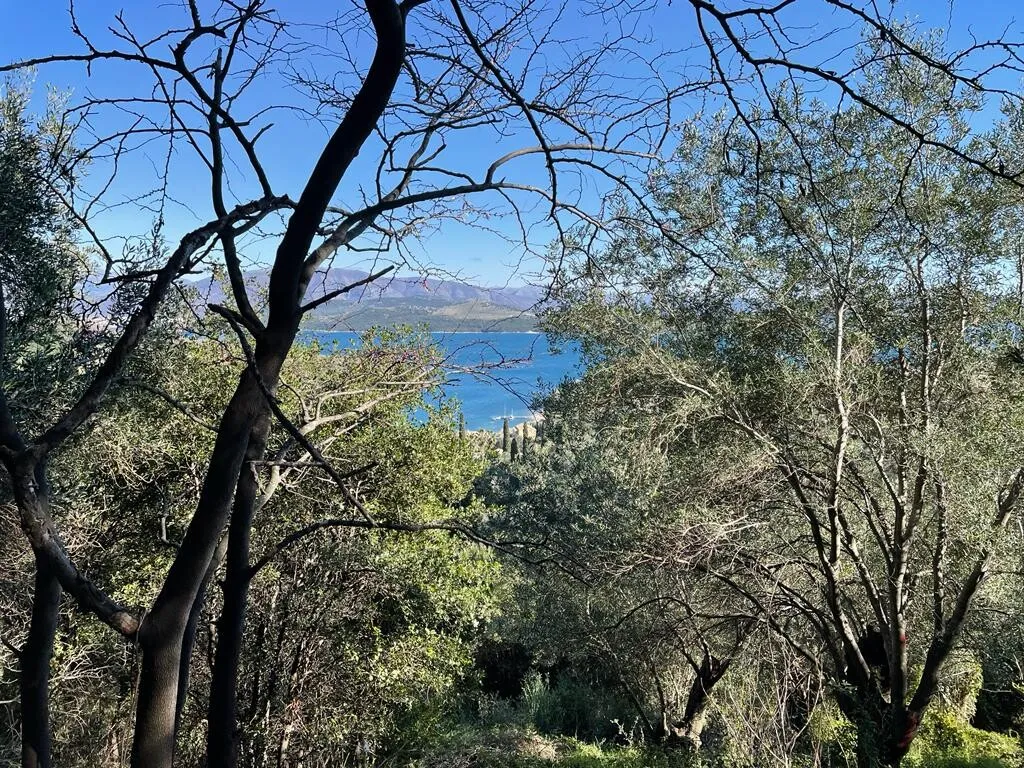 γη προς πώληση 2400 τ.μ Κέρκυρα Νομός Κέρκυρας