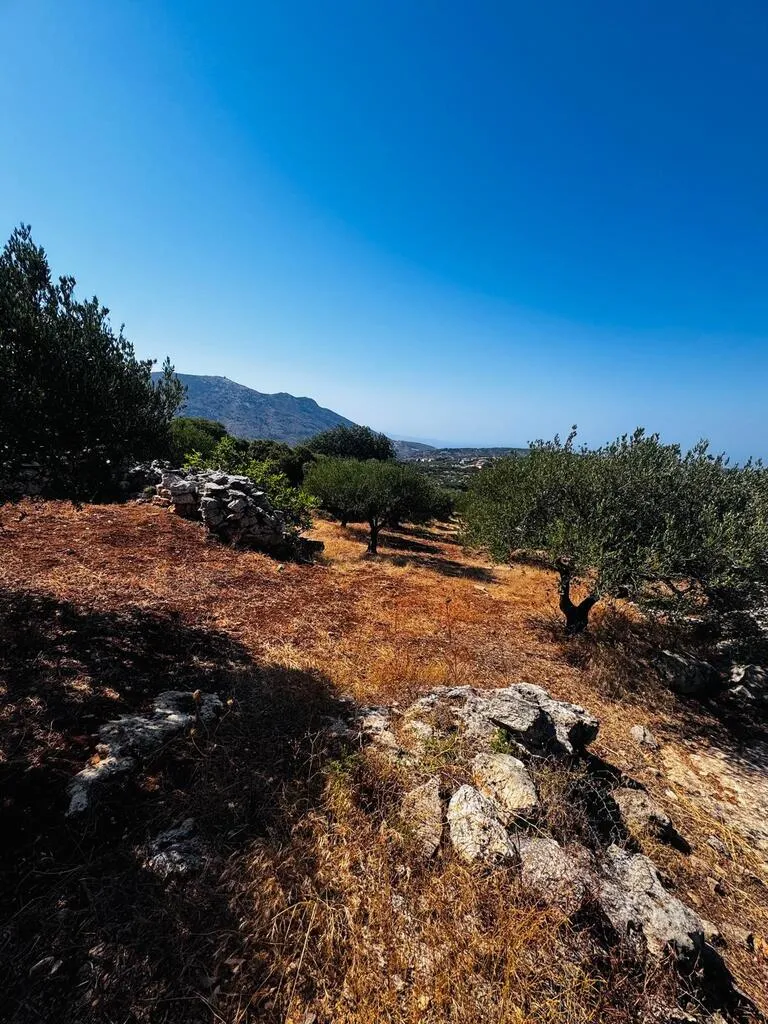 γη προς πώληση 2500 τ.μ Αρχάνες Νομός Ηρακλείου