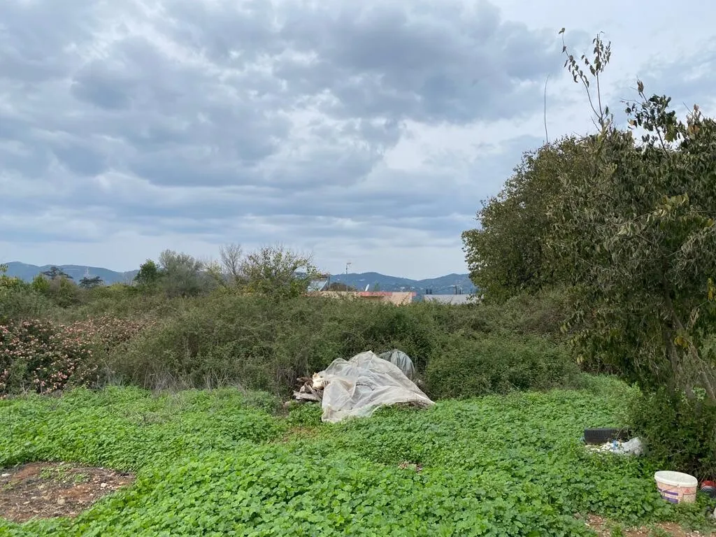 γη προς πώληση 1525 τ.μ Θέρισος Νομός Χανίων