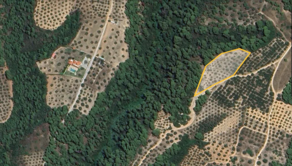 γη προς πώληση 5975 τ.μ Σιθωνία Χαλκιδική