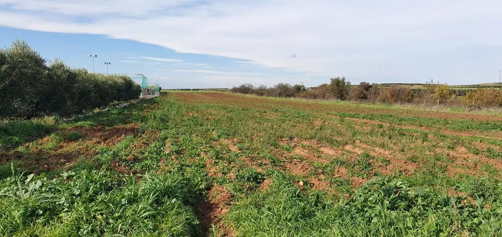 γη προς πώληση 10000 τ.μ Νέα Προποντίδα Χαλκιδική