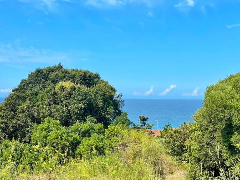 γη προς πώληση 4012 τ.μ Κέρκυρα Νομός Κέρκυρας