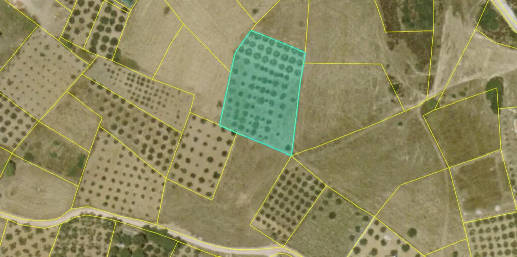 γη προς πώληση 4400 τ.μ Σιθωνία Χαλκιδική