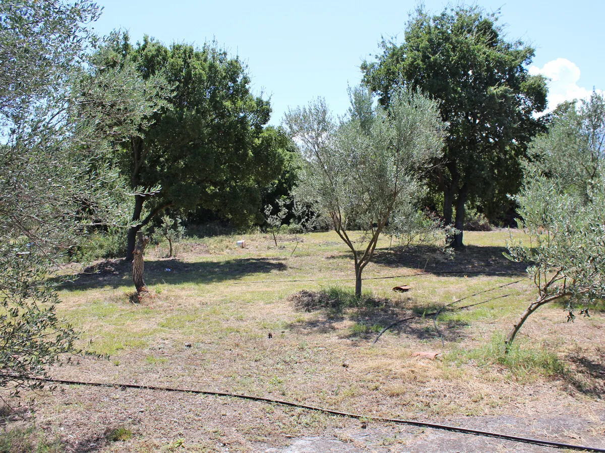 γη προς πώληση 2204 τ.μ Λιτόχωρο Νομός Πιερίας