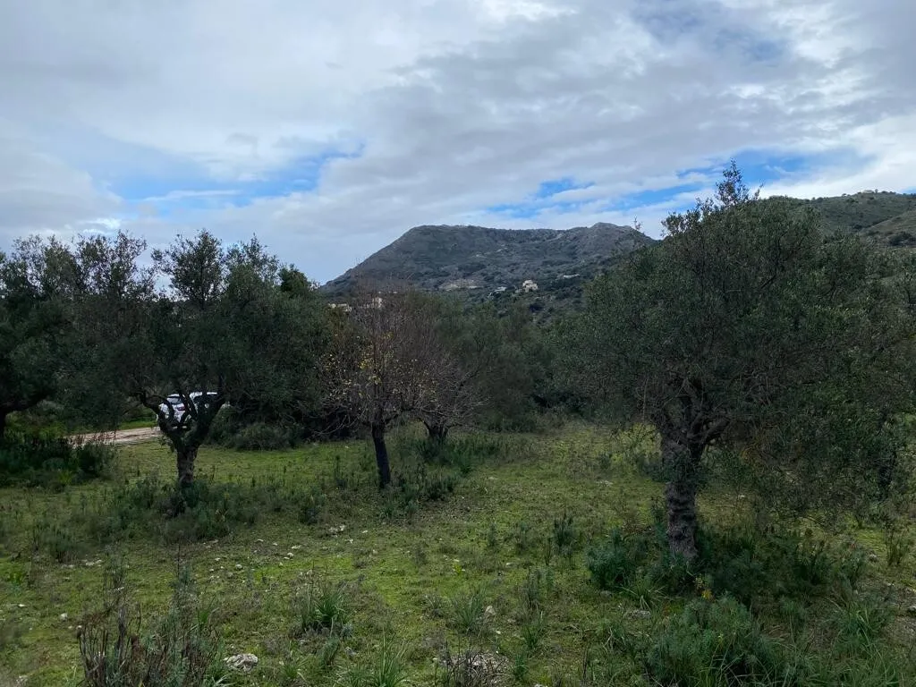 γη προς πώληση 4022 τ.μ Βάμος Νομός Χανίων