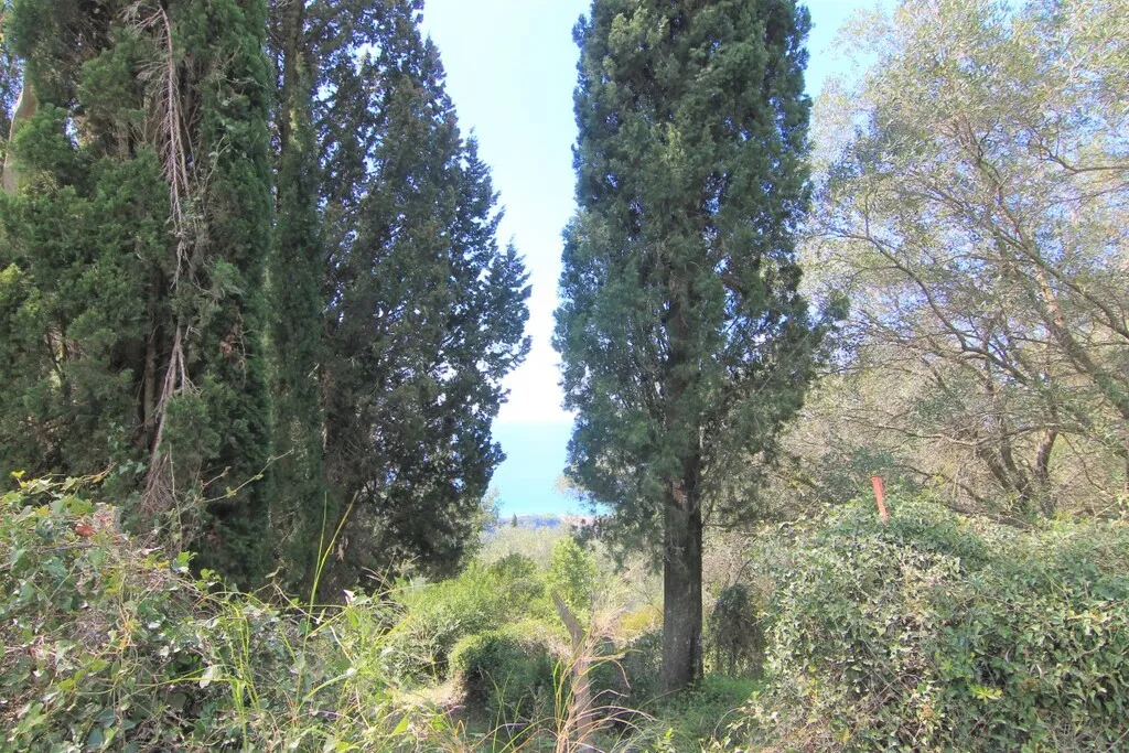 γη προς πώληση 1206 τ.μ Κέρκυρα Νομός Κέρκυρας