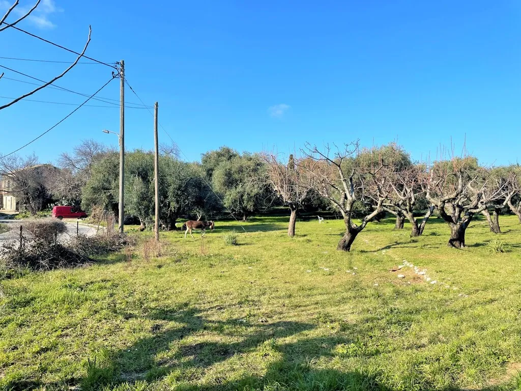 γη προς πώληση 3675 τ.μ Κέρκυρα Νομός Κέρκυρας
