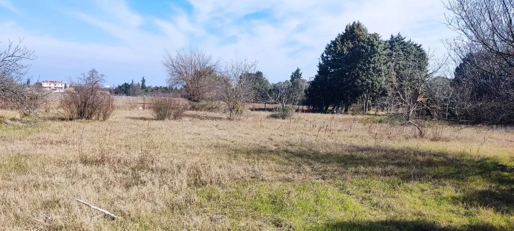 γη προς πώληση 3900 τ.μ Θερμαϊκός Προάστια Θεσσαλονίκης