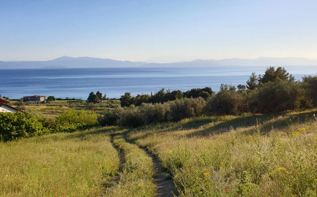 γη προς πώληση 29486 τ.μ Λίμνη Εύβοια