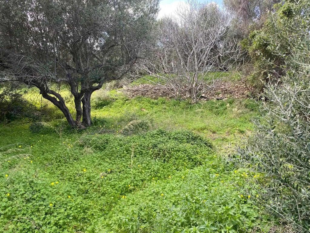 γη προς πώληση 9000 τ.μ Νέα Κυδωνία Νομός Χανίων