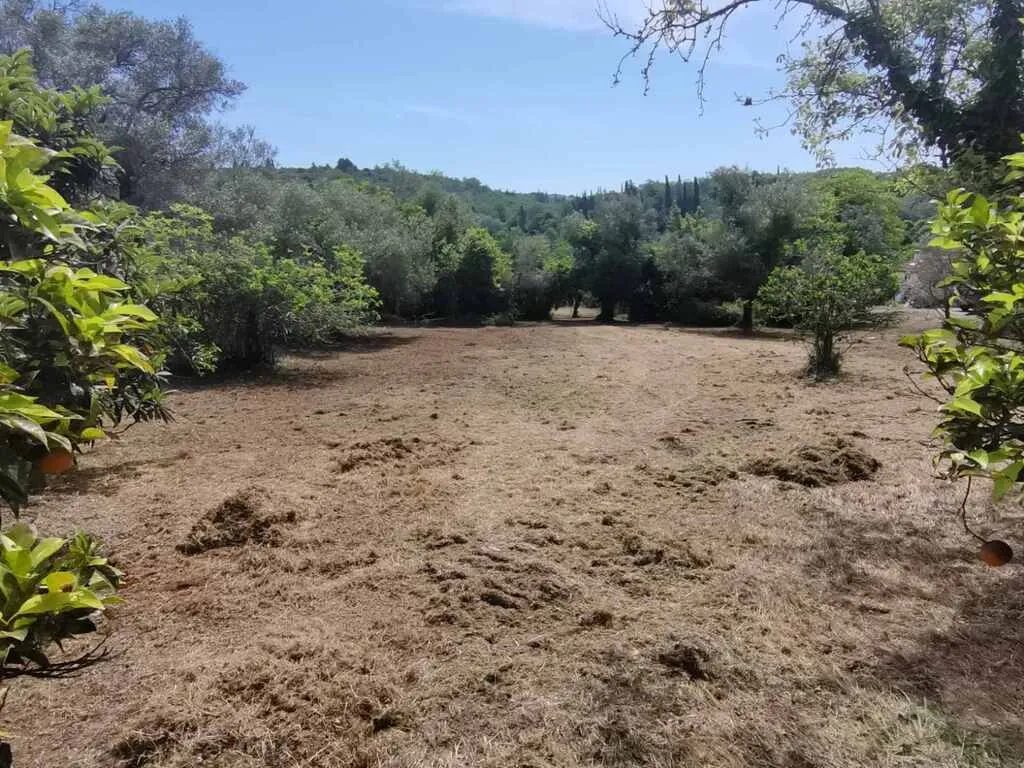 γη προς πώληση 3400 τ.μ Κέρκυρα Νομός Κέρκυρας