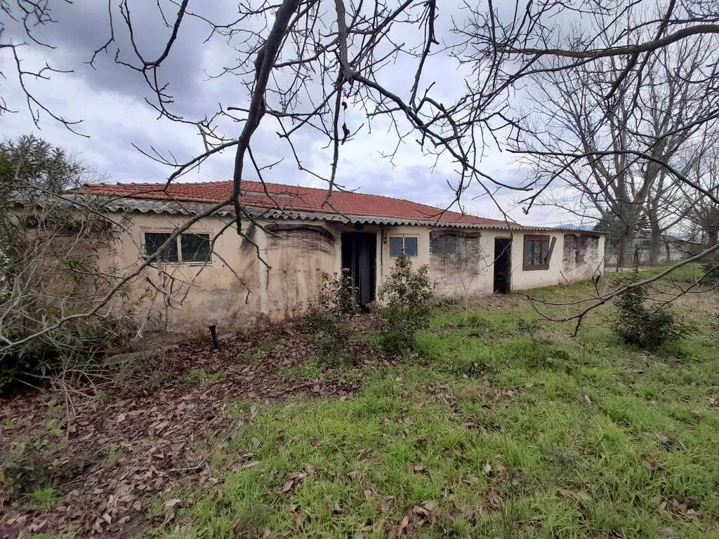 εμπορικό ακίνητο προς πώληση 650 τ.μ Βασιλικά Προάστια Θεσσαλονίκης