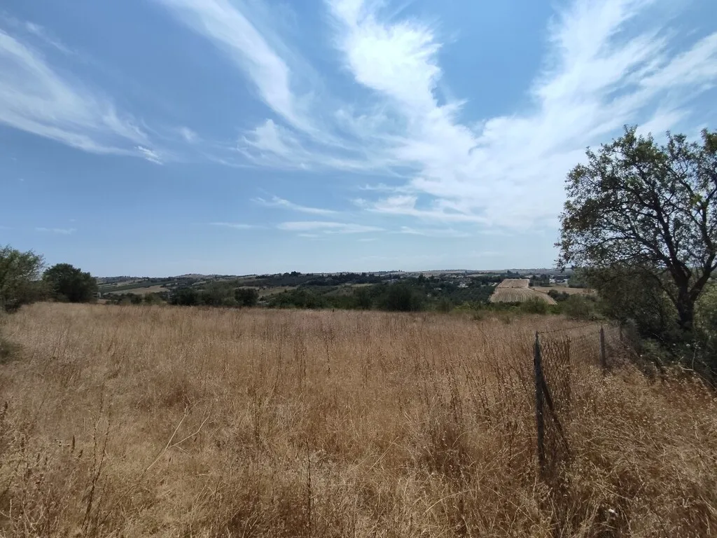 γη προς πώληση 4800 τ.μ Θερμαϊκός Προάστια Θεσσαλονίκης