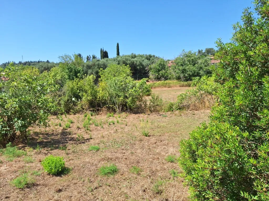 γη προς πώληση 2500 τ.μ Κέρκυρα Νομός Κέρκυρας