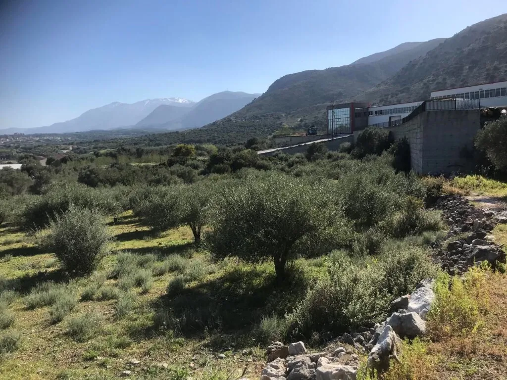 γη προς πώληση 12400 τ.μ Τύλισος Νομός Ηρακλείου