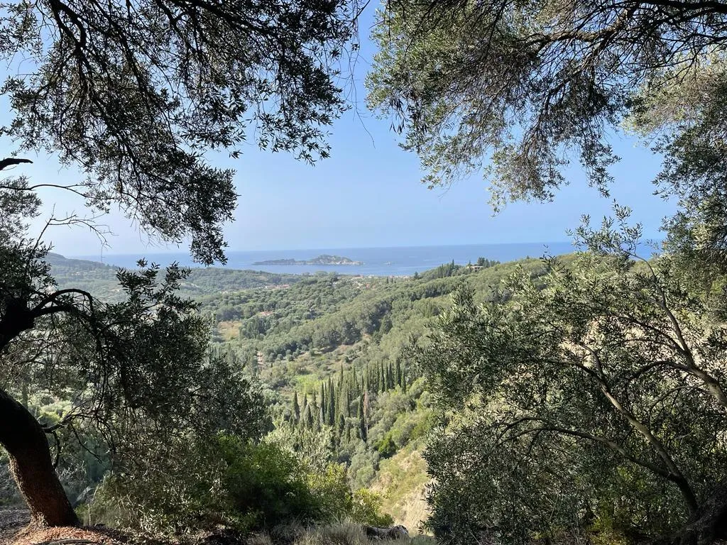 γη προς πώληση 12000 τ.μ Κέρκυρα Νομός Κέρκυρας