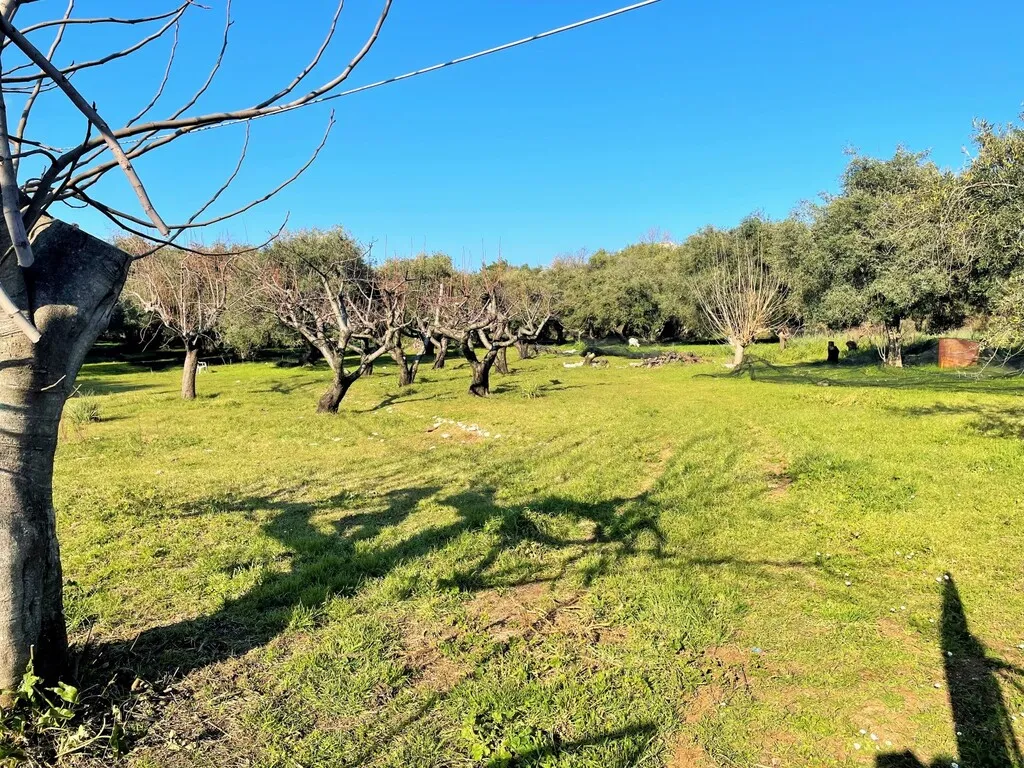 γη προς πώληση 3675 τ.μ Κέρκυρα Νομός Κέρκυρας