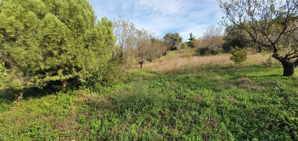 γη προς πώληση 2000 τ.μ Νέα Προποντίδα Χαλκιδική